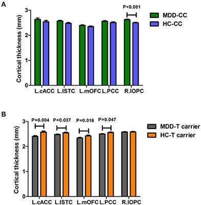 Roles of 5,10-Methylenetetrahydrofolate Reductase C677T Polymorphisms in First-Episode, Drug-Naive Adult Patients With Depression